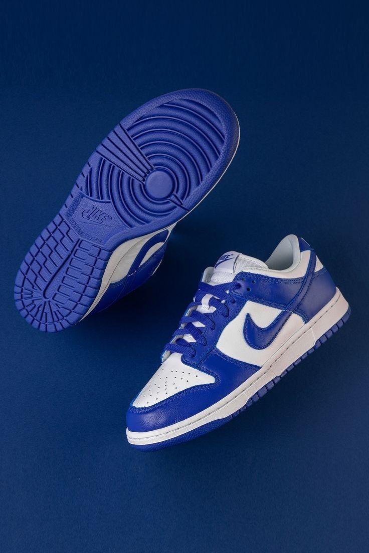 Nike Dunk Low ‘Blue’