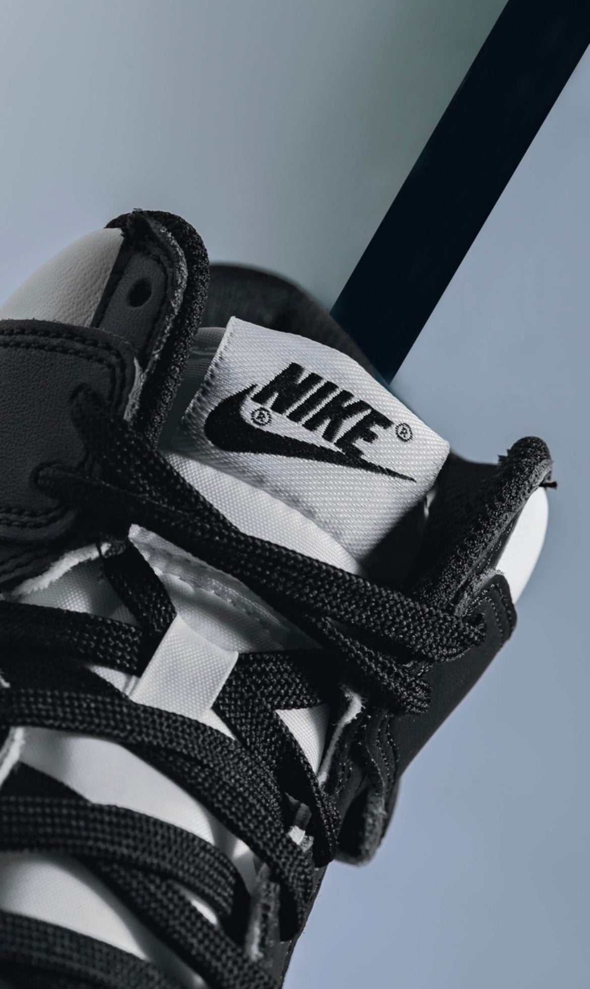 Nike Air Jordan 1 retro high ‘Panda’